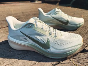 Nike Pegasus 42 Mens